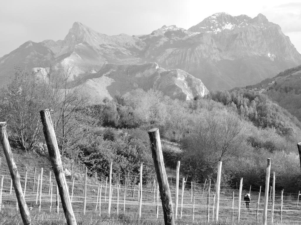 ホテル Rifugio Alpi Apuane Careggine エクステリア 写真