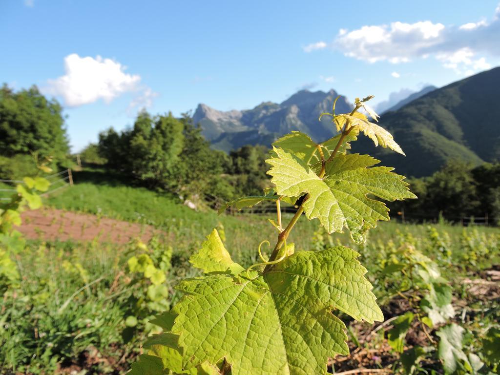 ホテル Rifugio Alpi Apuane Careggine エクステリア 写真