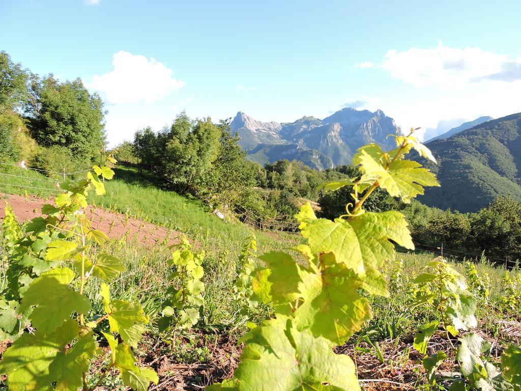 ホテル Rifugio Alpi Apuane Careggine エクステリア 写真